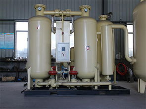 受歡迎的制氮機推薦 浙江制氮機供應廠家